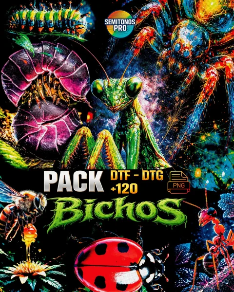 Diseños 3